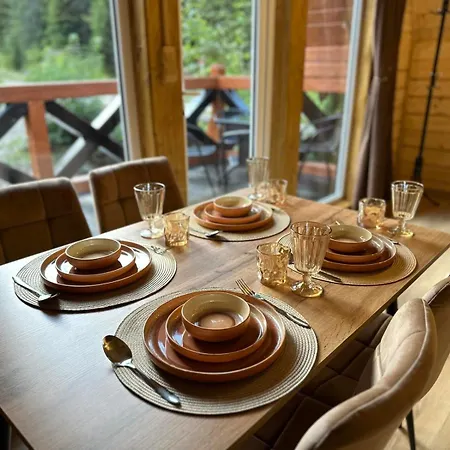 Dom wakacyjny під озером синевир 2 *